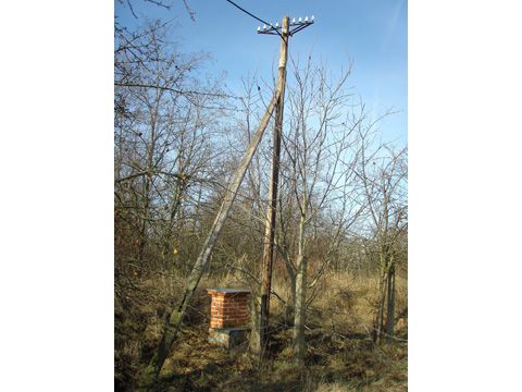 Foto 42